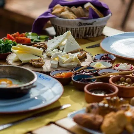 La Local Yalikavak فندق *