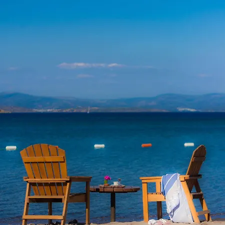 La Local Yalikavak 호텔 Bodrum