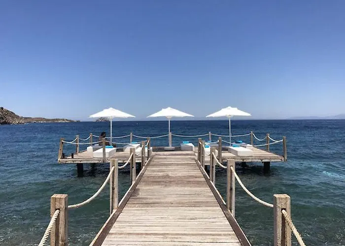 La Local Yalikavak 호텔 *